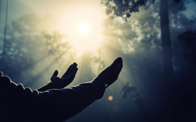 第六堂课：中国人的死于不死观，拷问着人生价值
