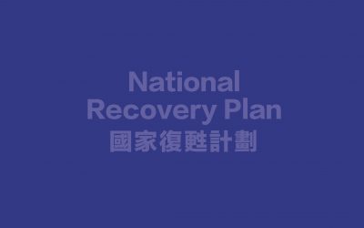 National Recovery Plan