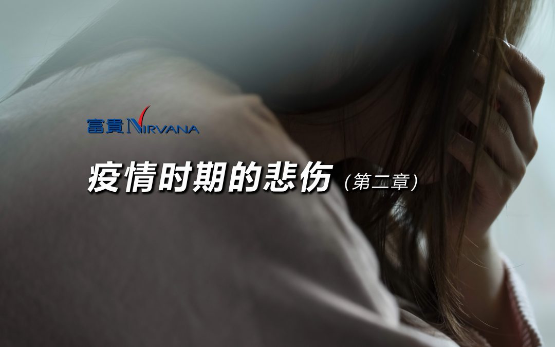 疫情时期的悲伤（第二章）