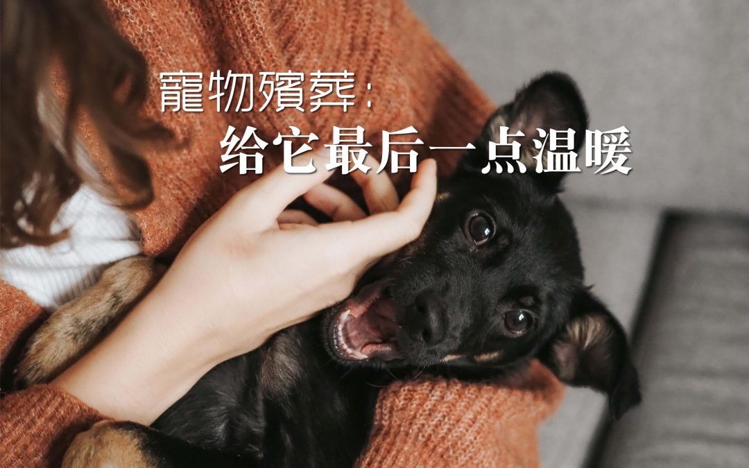 宠物殡葬：给它最后一点温暖