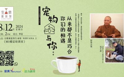 宠物与你：你们的相遇从来都不是巧合