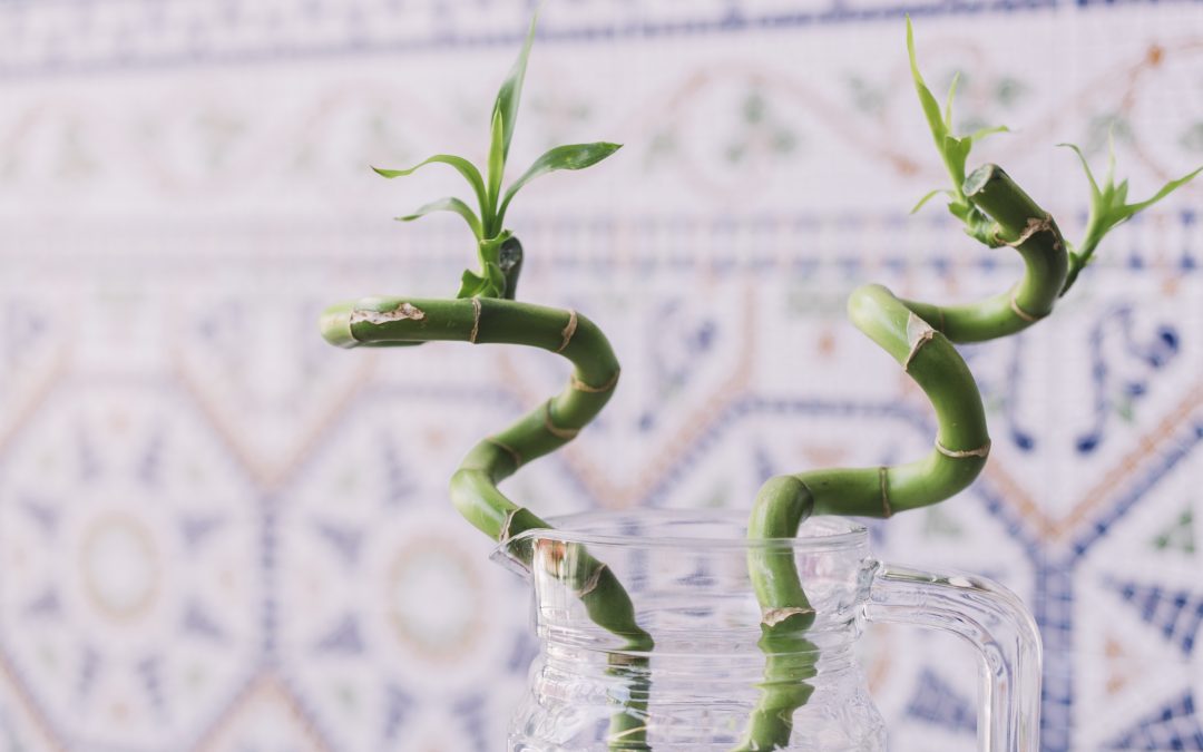 Double Spring and Leap Month